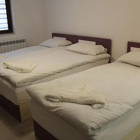 мишурови Guest house *