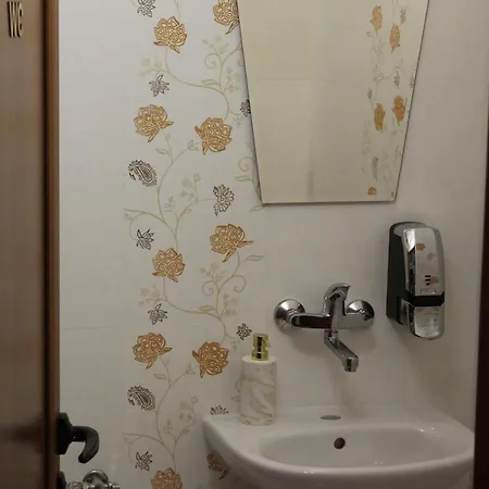 мишурови Pensiune 3*