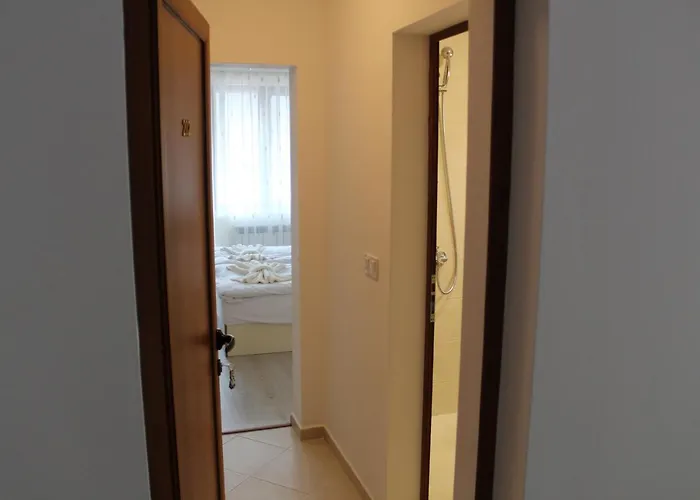 мишурови Smoljan